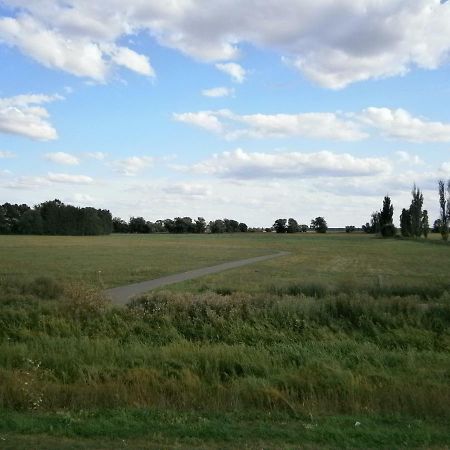 Apartament Alles Paletti Mit Klimaanlage Wittenberg Zewnętrze zdjęcie